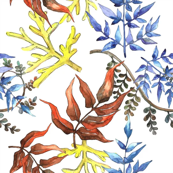 Fern bırakır. Yaprak fren bitki botanik bahçe çiçek yaprakları. Sorunsuz arka plan deseni. Kumaş duvar kağıdı yazdırma doku. Aquarelle yaprak için arka plan, doku, sarıcı desen, çerçeve veya kenarlık.