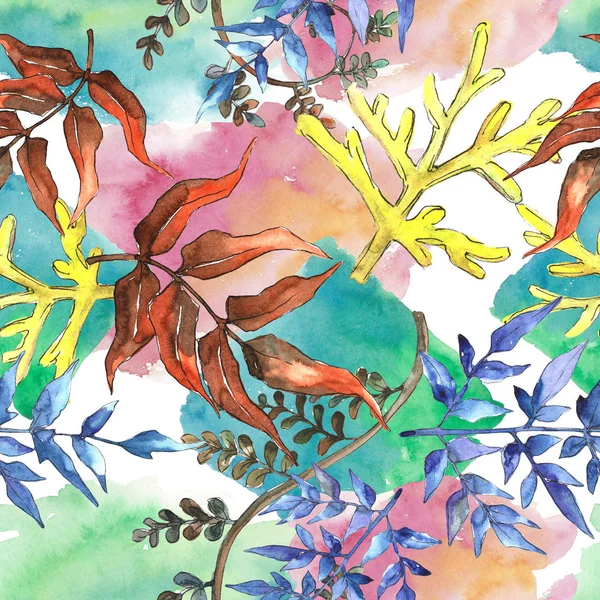 Fern bırakır. Yaprak fren bitki botanik bahçe çiçek yaprakları. Sorunsuz arka plan deseni. Kumaş duvar kağıdı yazdırma doku. Aquarelle yaprak için arka plan, doku, sarıcı desen, çerçeve veya kenarlık.