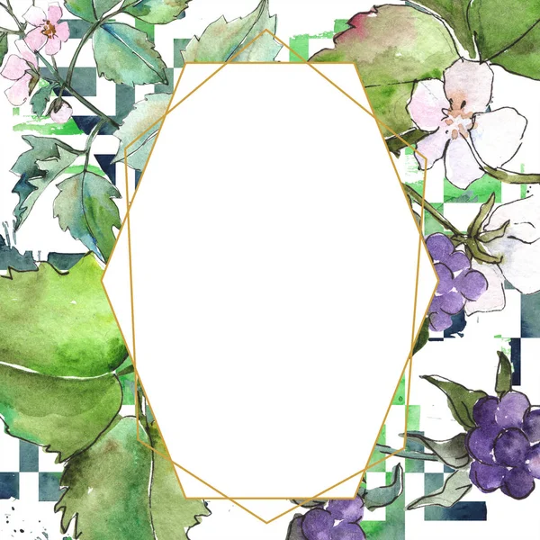 Suluboya mor blackbarry bitki. Botanik çiçek. Çerçeve kenarlığı süsleme Meydanı. Arka plan, doku, sarıcı desen, çerçeve veya kenarlık için Aquarelle kır çiçeği.