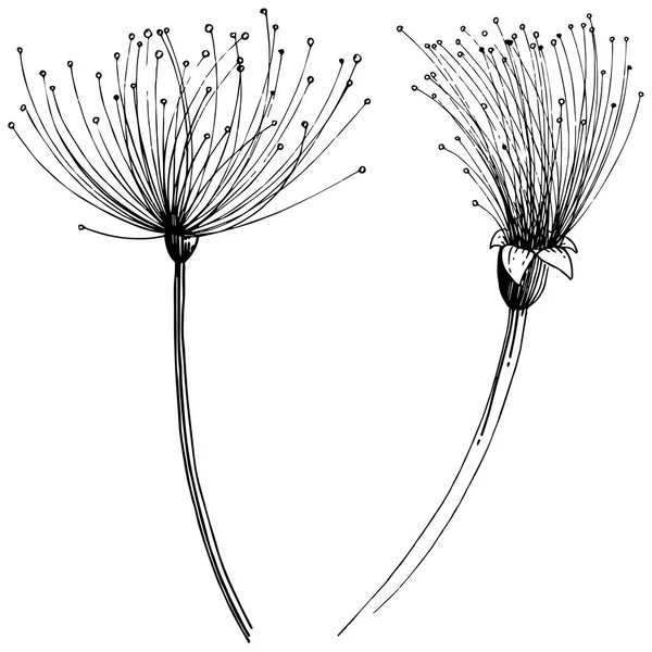 Fleurs Tropicales Dans Style Vectoriel Élément Illustration Isolé Fleur Vectorielle — Image vectorielle