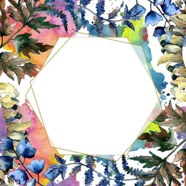 Mavi eğreltiotu yaprakları. Yaprak fren bitki botanik bahçe çiçek yaprakları. Çerçeve kenarlığı süsleme Meydanı. Aquarelle yaprak için arka plan, doku, sarıcı desen, çerçeve veya kenarlık.