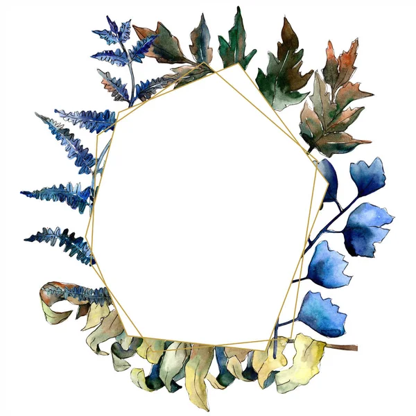 Blaue Farnblätter Blatt Bremse Pflanze Botanischen Garten Blütenblätter Rahmen Bordüre — Stockfoto
