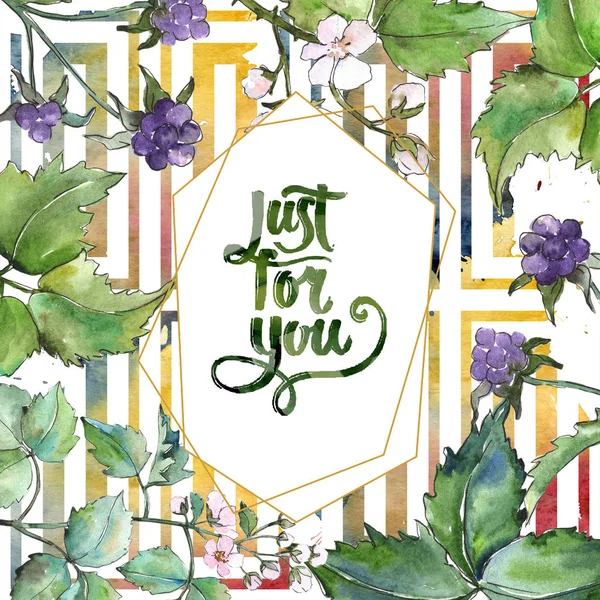 Suluboya mor blackberry bitki. Botanik çiçek. Çerçeve kenarlığı süsleme Meydanı. Arka plan, doku, sarıcı desen, çerçeve veya kenarlık için Aquarelle kır çiçeği.