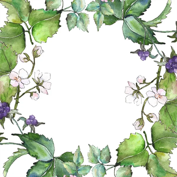 Výrobní Závod Akvarel Fialový Blackberry Květinové Botanické Květin Frame Hranice — Stock fotografie