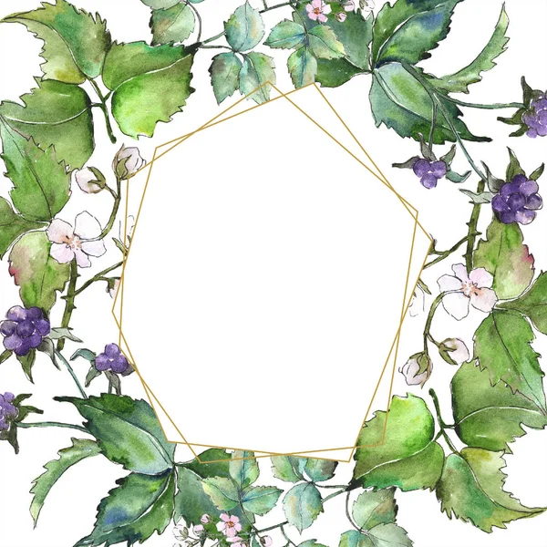 Suluboya mor blackberry bitki. Botanik çiçek. Çerçeve kenarlığı süsleme Meydanı. Arka plan, doku, sarıcı desen, çerçeve veya kenarlık için Aquarelle kır çiçeği.