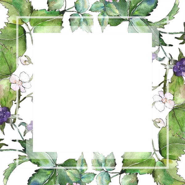 Výrobní Závod Akvarel Fialový Blackberry Květinové Botanické Květin Frame Hranice — Stock fotografie
