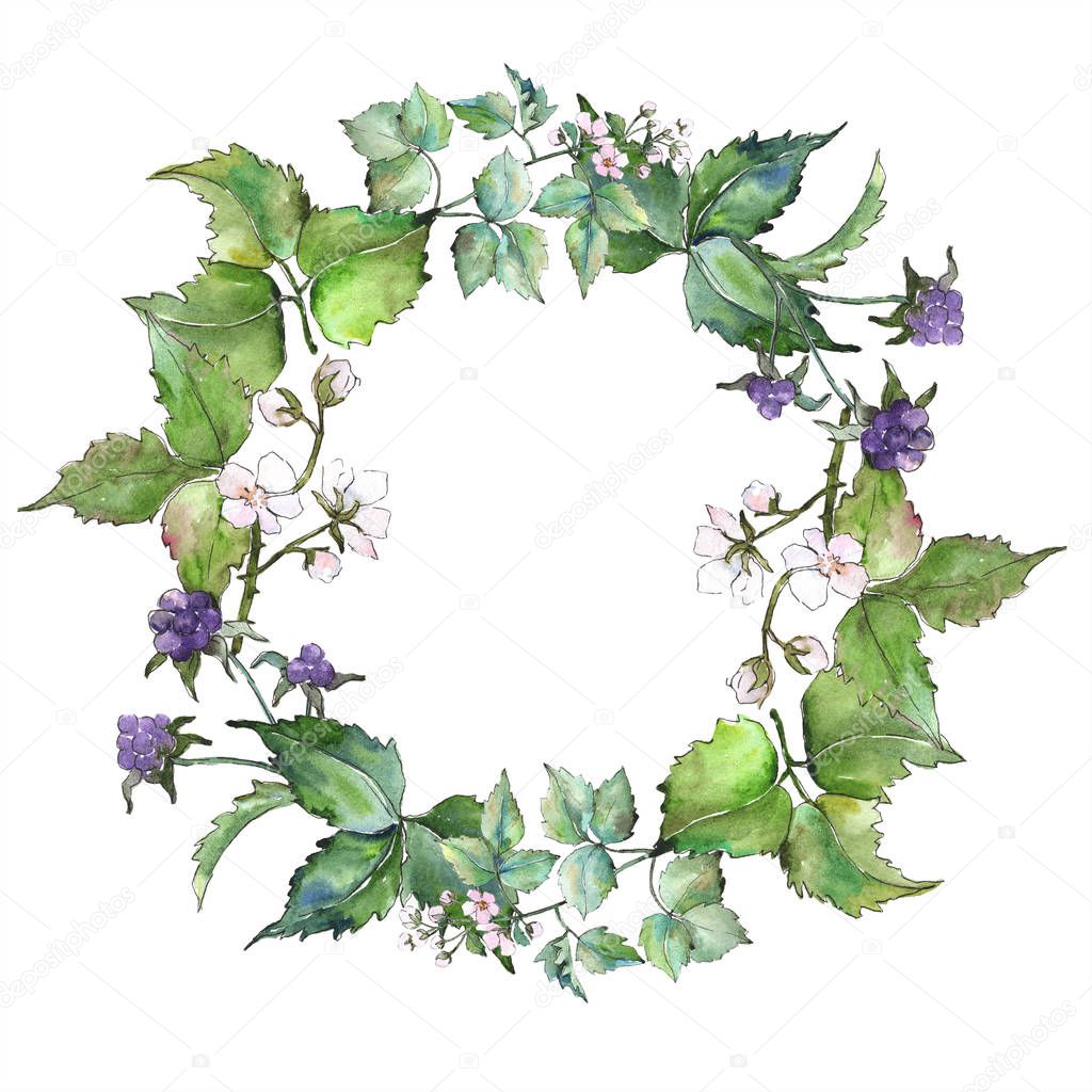 Watercolor purple blackberry plant. Floral botanical flower. Frame border ornament square. Aquarelle wildflower for background, texture, wrapper pattern, frame or border.