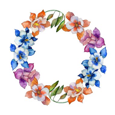 Sulu boya renkli aquilegia çiçek. Botanik çiçek. Çerçeve kenarlığı süsleme Meydanı. Arka plan, doku, sarıcı desen, çerçeve veya kenarlık için Aquarelle kır çiçeği.