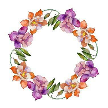 Sulu boya renkli aquilegia çiçek. Botanik çiçek. Çerçeve kenarlığı süsleme Meydanı. Arka plan, doku, sarıcı desen, çerçeve veya kenarlık için Aquarelle kır çiçeği.
