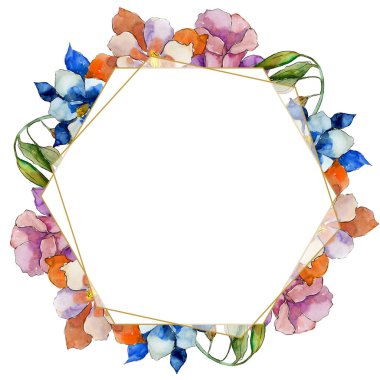 Sulu boya renkli aquilegia çiçek. Botanik çiçek. Çerçeve kenarlığı süsleme Meydanı. Arka plan, doku, sarıcı desen, çerçeve veya kenarlık için Aquarelle kır çiçeği.