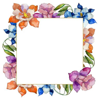 Sulu boya renkli aquilegia çiçek. Botanik çiçek. Çerçeve kenarlığı süsleme Meydanı. Arka plan, doku, sarıcı desen, çerçeve veya kenarlık için Aquarelle kır çiçeği.