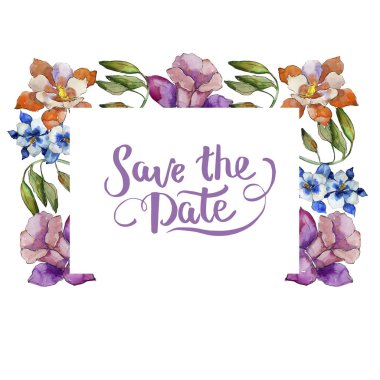 Sulu boya renkli aquilegia çiçek. Botanik çiçek. Çerçeve kenarlığı süsleme Meydanı. Arka plan, doku, sarıcı desen, çerçeve veya kenarlık için Aquarelle kır çiçeği.