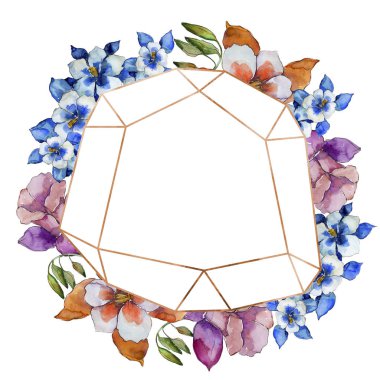 Sulu boya renkli aquilegia çiçek. Botanik çiçek. Çerçeve kenarlığı süsleme Meydanı. Arka plan, doku, sarıcı desen, çerçeve veya kenarlık için Aquarelle kır çiçeği.