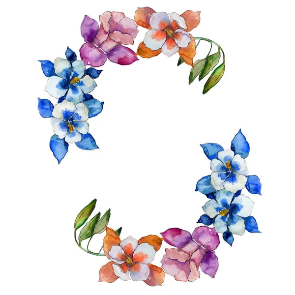 Acquerello Colorato Aquilegia Fiore Fiore Botanico Floreale Quadrato Ornamento Bordo — Foto Stock