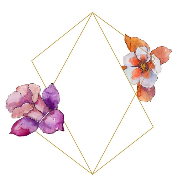 Akwarela Orlik Kolorowy Kwiat Botaniczny Kwiat Kwiatowy Ramki Granicznej Ornament — Zdjęcie stockowe