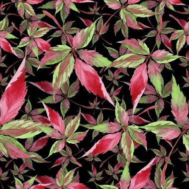 Suluboya kırmızı üzüm yaprakları. Yaprak bitki botanik bahçe çiçek yaprakları. Sorunsuz arka plan deseni. Kumaş duvar kağıdı yazdırma doku. Aquarelle yaprak için arka plan, doku, sarıcı desen.