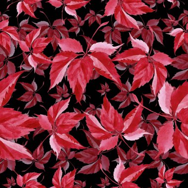 Suluboya kırmızı üzüm yaprakları. Yaprak bitki botanik bahçe çiçek yaprakları. Sorunsuz arka plan deseni. Kumaş duvar kağıdı yazdırma doku. Aquarelle yaprak için arka plan, doku, sarıcı desen.