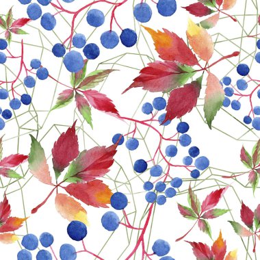 Suluboya kırmızı üzüm yaprakları. Yaprak bitki botanik bahçe çiçek yaprakları. Sorunsuz arka plan deseni. Kumaş duvar kağıdı yazdırma doku. Aquarelle yaprak için arka plan, doku, sarıcı desen.