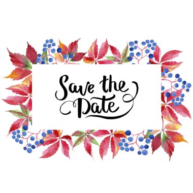 Suluboya kırmızı üzüm yaprakları. Yaprak bitki botanik bahçe çiçek yaprakları. Çerçeve kenarlığı süsleme Meydanı. Aquarelle yaprak için arka plan, doku, sarıcı desen, çerçeve veya kenarlık.