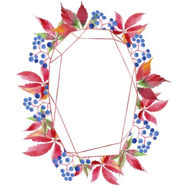 Suluboya kırmızı üzüm yaprakları. Yaprak bitki botanik bahçe çiçek yaprakları. Çerçeve kenarlığı süsleme Meydanı. Aquarelle yaprak için arka plan, doku, sarıcı desen, çerçeve veya kenarlık.