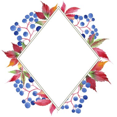 Suluboya kırmızı üzüm yaprakları. Yaprak bitki botanik bahçe çiçek yaprakları. Çerçeve kenarlığı süsleme Meydanı. Aquarelle yaprak için arka plan, doku, sarıcı desen, çerçeve veya kenarlık.