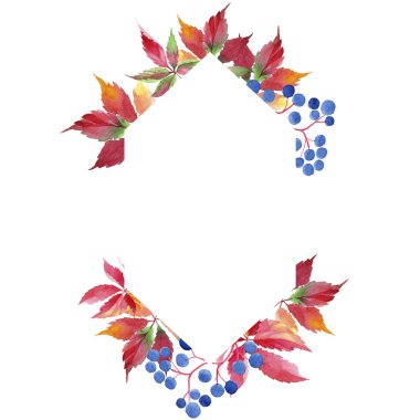 Suluboya kırmızı üzüm yaprakları. Yaprak bitki botanik bahçe çiçek yaprakları. Çerçeve kenarlığı süsleme Meydanı. Aquarelle yaprak için arka plan, doku, sarıcı desen, çerçeve veya kenarlık.