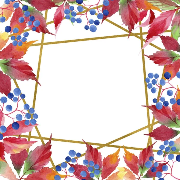 水彩红葡萄叶子 叶植物植物园花叶 框边框装饰广场 包装图案 框架或边框的水彩画叶 — 图库照片
