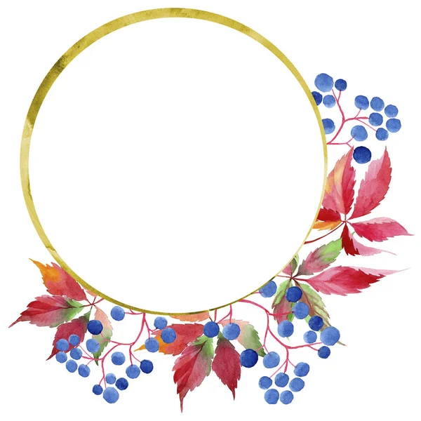 Suluboya kırmızı üzüm yaprakları. Yaprak bitki botanik bahçe çiçek yaprakları. Çerçeve kenarlığı süsleme Meydanı. Aquarelle yaprak için arka plan, doku, sarıcı desen, çerçeve veya kenarlık.