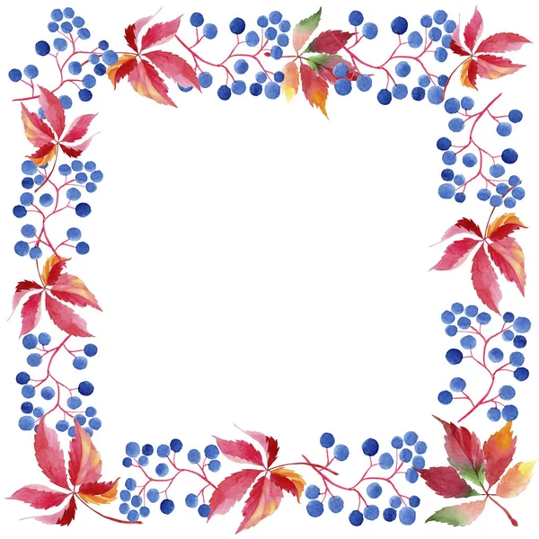Suluboya kırmızı üzüm yaprakları. Yaprak bitki botanik bahçe çiçek yaprakları. Çerçeve kenarlığı süsleme Meydanı. Aquarelle yaprak için arka plan, doku, sarıcı desen, çerçeve veya kenarlık.