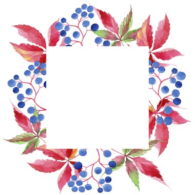 Suluboya kırmızı üzüm yaprakları. Yaprak bitki botanik bahçe çiçek yaprakları. Çerçeve kenarlığı süsleme Meydanı. Aquarelle yaprak için arka plan, doku, sarıcı desen, çerçeve veya kenarlık.