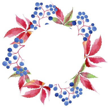 Suluboya kırmızı üzüm yaprakları. Yaprak bitki botanik bahçe çiçek yaprakları. Çerçeve kenarlığı süsleme Meydanı. Aquarelle yaprak için arka plan, doku, sarıcı desen, çerçeve veya kenarlık.