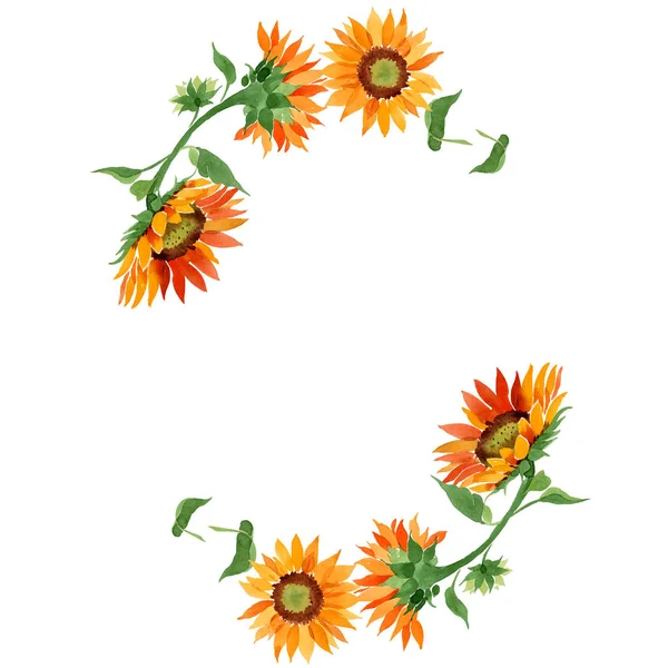 Акварель Оранжева Квітка Соняшнику Квіткова Ботанічна Квітка Каркасний Бордюрний Орнамент — стокове фото