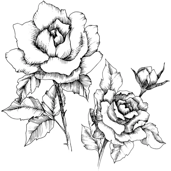 Fleur Rose Dans Style Vectoriel Élément Illustration Isolé Nom Complet — Image vectorielle