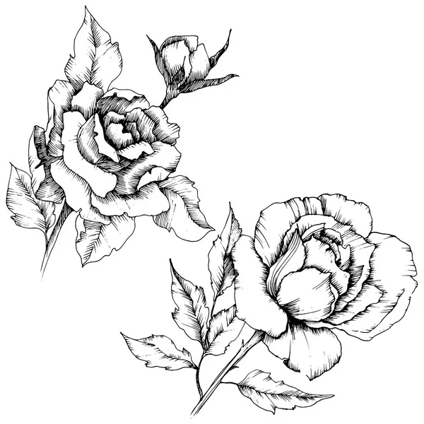 Τριαντάφυλλο Λουλούδι Ένα Στυλ Διάνυσμα Απομονωμένη Εικονογράφηση Στοιχείο Πλήρης Ονομασία — Διανυσματικό Αρχείο