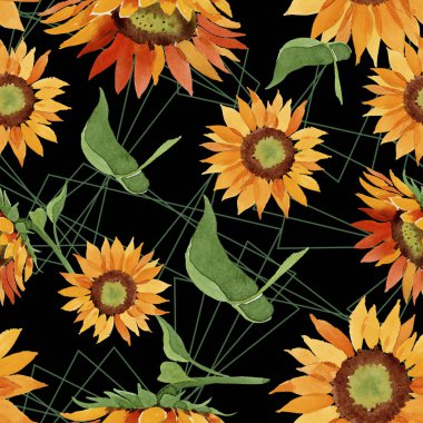 Suluboya portakal çiçeği ayçiçeği. Botanik çiçek. Sorunsuz arka plan deseni. Kumaş duvar kağıdı yazdırma doku. Arka plan, doku, sarıcı desen, kenarlık için Aquarelle kır çiçeği.