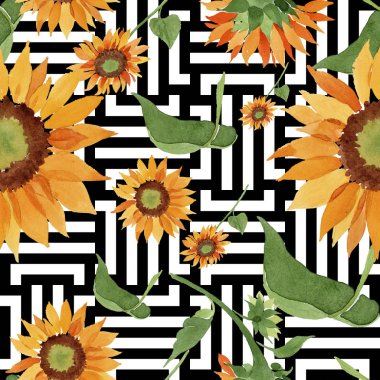 Suluboya portakal çiçeği ayçiçeği. Botanik çiçek. Sorunsuz arka plan deseni. Kumaş duvar kağıdı yazdırma doku. Arka plan, doku, sarıcı desen, kenarlık için Aquarelle kır çiçeği.