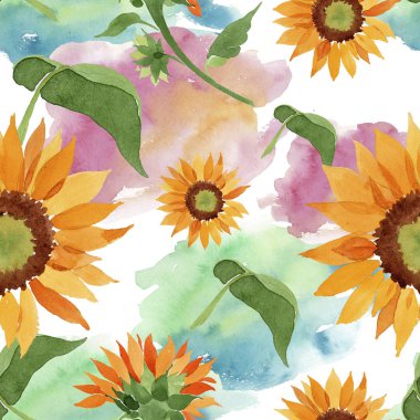 Suluboya portakal çiçeği ayçiçeği. Botanik çiçek. Sorunsuz arka plan deseni. Kumaş duvar kağıdı yazdırma doku. Arka plan, doku, sarıcı desen, kenarlık için Aquarelle kır çiçeği.