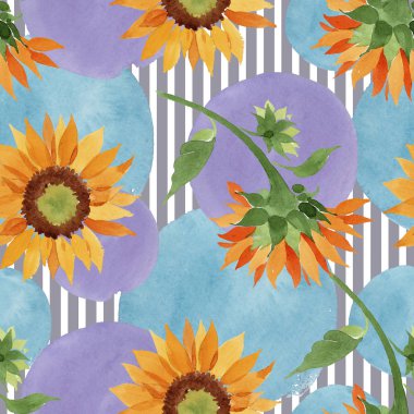 Suluboya portakal çiçeği ayçiçeği. Botanik çiçek. Sorunsuz arka plan deseni. Kumaş duvar kağıdı yazdırma doku. Arka plan, doku, sarıcı desen, kenarlık için Aquarelle kır çiçeği.