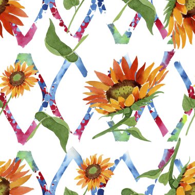 Suluboya portakal çiçeği ayçiçeği. Botanik çiçek. Sorunsuz arka plan deseni. Kumaş duvar kağıdı yazdırma doku. Arka plan, doku, sarıcı desen, kenarlık için Aquarelle kır çiçeği.
