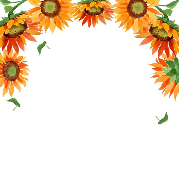 Fiore Girasole Arancione Acquerello Fiore Botanico Floreale Quadrato Ornamento Bordo — Foto Stock