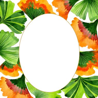 Renkli yaprakları ginkgo. Yaprak bitki botanik bahçe çiçek yaprakları. Çerçeve kenarlığı süsleme Meydanı. Aquarelle yaprak için arka plan, doku, sarıcı desen, çerçeve veya kenarlık.