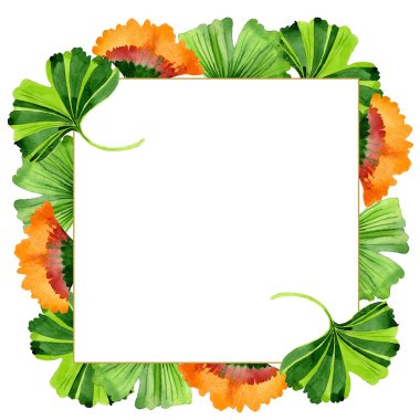 Renkli yaprakları ginkgo. Yaprak bitki botanik bahçe çiçek yaprakları. Çerçeve kenarlığı süsleme Meydanı. Aquarelle yaprak için arka plan, doku, sarıcı desen, çerçeve veya kenarlık.