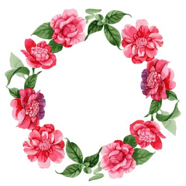 Sulu boya pembe Kamelya tırmanma çiçek. Botanik çiçek. Çerçeve kenarlığı süsleme Meydanı. Arka plan, doku, sarıcı desen, çerçeve veya kenarlık için Aquarelle kır çiçeği.