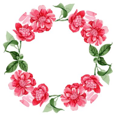 Sulu boya pembe Kamelya tırmanma çiçek. Botanik çiçek. Çerçeve kenarlığı süsleme Meydanı. Arka plan, doku, sarıcı desen, çerçeve veya kenarlık için Aquarelle kır çiçeği.