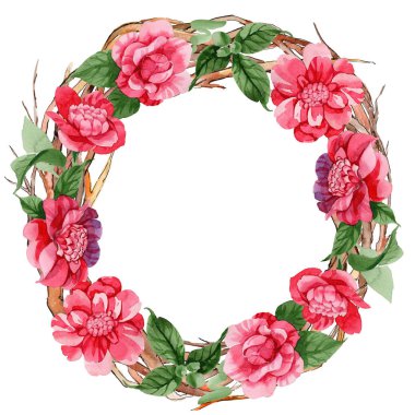 Sulu boya pembe Kamelya tırmanma çiçek. Botanik çiçek. Çerçeve kenarlığı süsleme Meydanı. Arka plan, doku, sarıcı desen, çerçeve veya kenarlık için Aquarelle kır çiçeği.