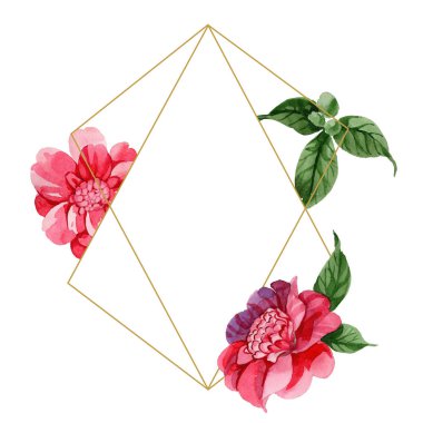 Sulu boya pembe Kamelya tırmanma çiçek. Botanik çiçek. Çerçeve kenarlığı süsleme Meydanı. Arka plan, doku, sarıcı desen, çerçeve veya kenarlık için Aquarelle kır çiçeği.