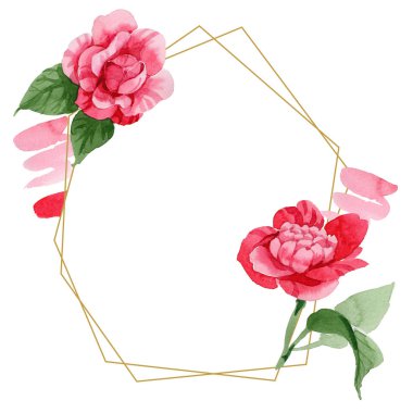 Sulu boya pembe Kamelya tırmanma çiçek. Botanik çiçek. Çerçeve kenarlığı süsleme Meydanı. Arka plan, doku, sarıcı desen, çerçeve veya kenarlık için Aquarelle kır çiçeği.