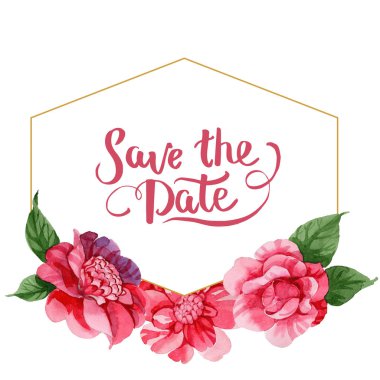 Sulu boya pembe Kamelya tırmanma çiçek. Botanik çiçek. Çerçeve kenarlığı süsleme Meydanı. Arka plan, doku, sarıcı desen, çerçeve veya kenarlık için Aquarelle kır çiçeği.