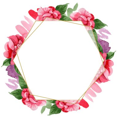 Sulu boya pembe Kamelya tırmanma çiçek. Botanik çiçek. Çerçeve kenarlığı süsleme Meydanı. Arka plan, doku, sarıcı desen, çerçeve veya kenarlık için Aquarelle kır çiçeği.
