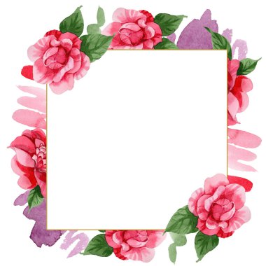 Sulu boya pembe Kamelya tırmanma çiçek. Botanik çiçek. Çerçeve kenarlığı süsleme Meydanı. Arka plan, doku, sarıcı desen, çerçeve veya kenarlık için Aquarelle kır çiçeği.